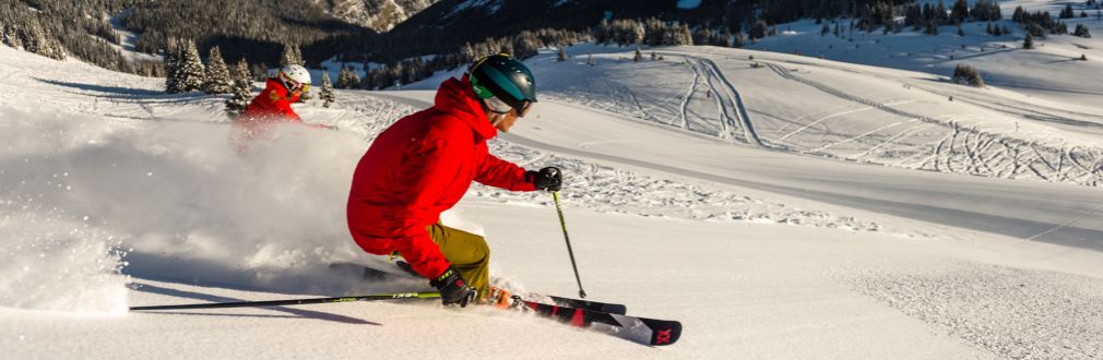 Skiurlaub, Skireisen, Gruppenreisen, Ski alpin, Freeride, Kinderbetreuung, Skikurs, Alpen, Rocky Mountains 